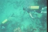 Taylor Scuba Diving 01